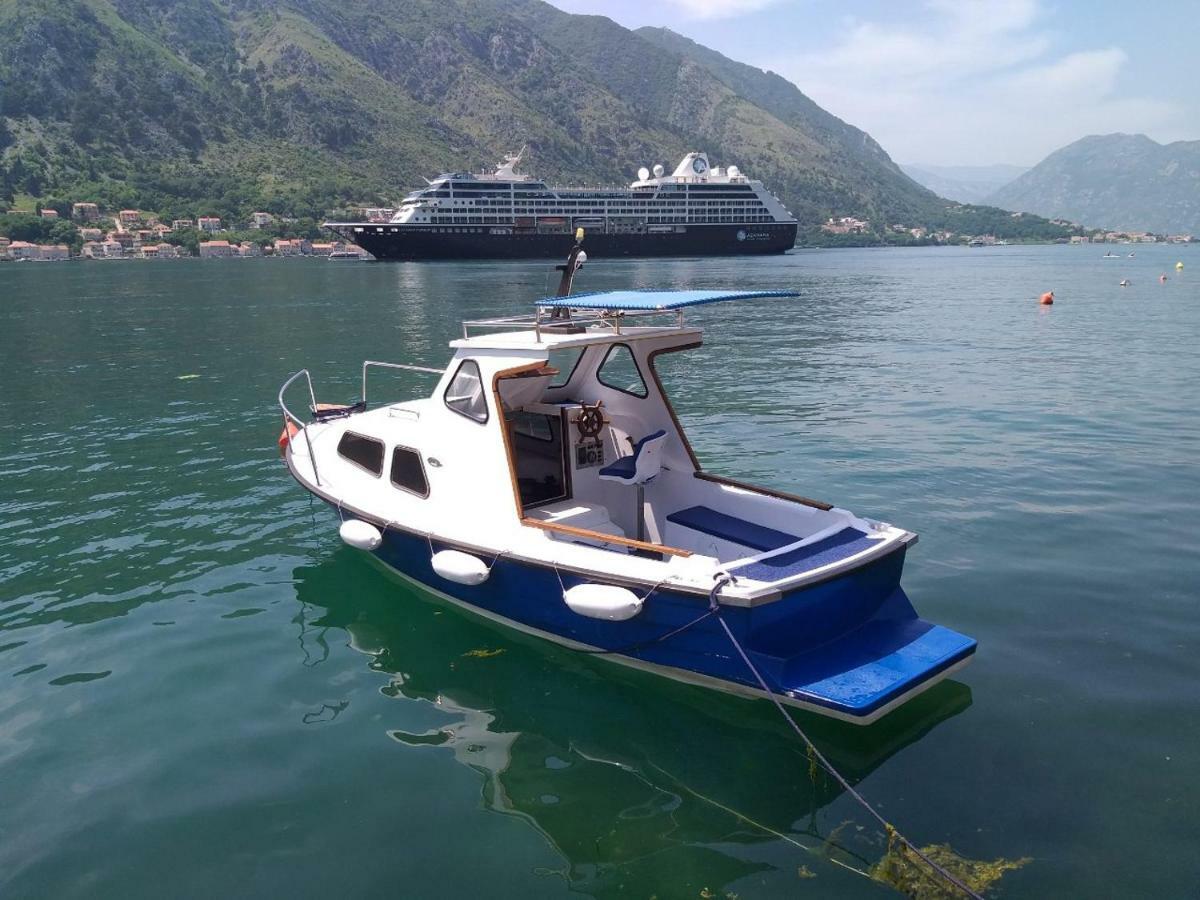 Apartment Kralj Kotor Zewnętrze zdjęcie